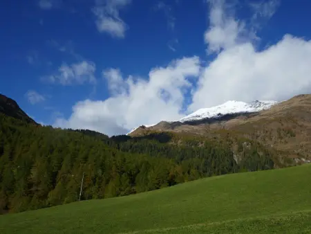 Rustico Orsaira, Maison 5 personnes à Campo Blenio - Photo 26