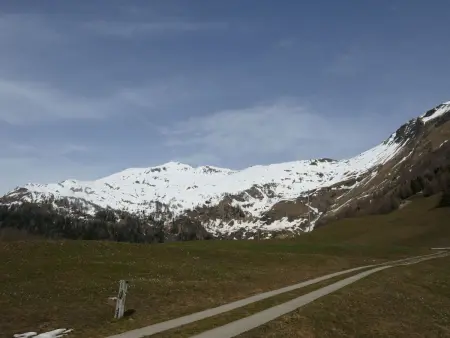 Rustico Orsaira, Maison 5 personnes à Campo Blenio - Photo 30