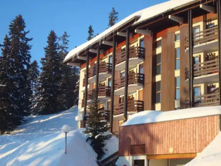Studio rénové au pied des pistes avec balcon, Appartement 6 personnes à Montvalezan La Rosière - Photo 11