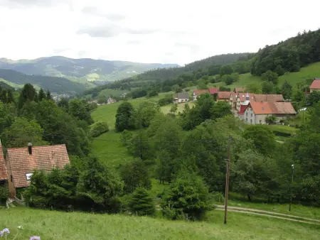 Gîte au calme avec 2 chambres, terrasse, jardin, BBQ et parking inclus à Breitenbach-Haut-Rhin - Photo 1