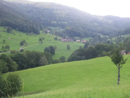 Gîte au calme avec 2 chambres, terrasse, jardin, BBQ et parking inclus à Breitenbach-Haut-Rhin - Photo 13