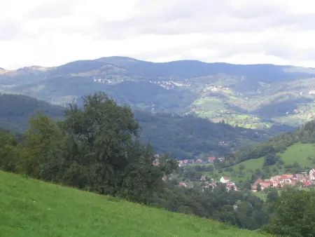Gîte au calme avec 2 chambres, terrasse, jardin, BBQ et parking inclus à Breitenbach-Haut-Rhin - Photo 15