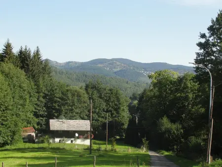 Gîte au calme avec 2 chambres, terrasse, jardin, BBQ et parking inclus à Breitenbach-Haut-Rhin - Photo 17
