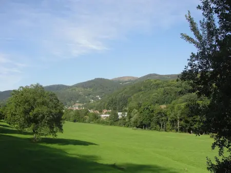 Gîte au calme avec 2 chambres, terrasse, jardin, BBQ et parking inclus à Breitenbach-Haut-Rhin - Photo 18