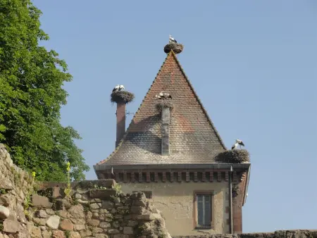 Gîte au calme avec 2 chambres, terrasse, jardin, BBQ et parking inclus à Breitenbach-Haut-Rhin - Photo 21