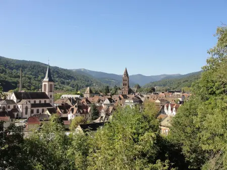 Gîte au calme avec 2 chambres, terrasse, jardin, BBQ et parking inclus à Breitenbach-Haut-Rhin - Photo 22