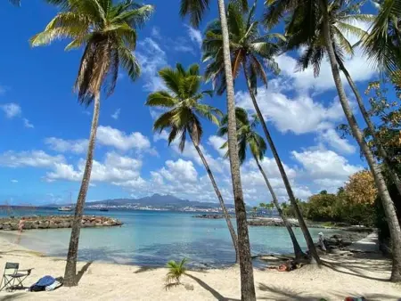 Maison F2 aux Trois-Îlets, Martinique, Maison 4 personnes à Les Trois Ilets - Photo 7