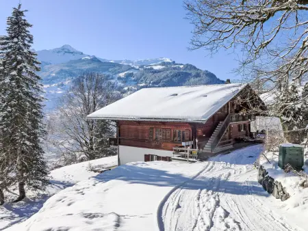 Chalet uf Duft, Appartement 6 personnes à Grindelwald - Photo 1