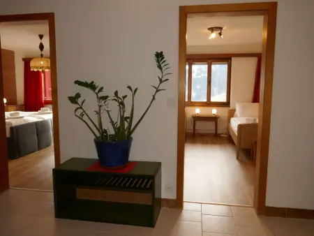 Chalet uf Duft, Appartement 6 personnes à Grindelwald - Photo 17
