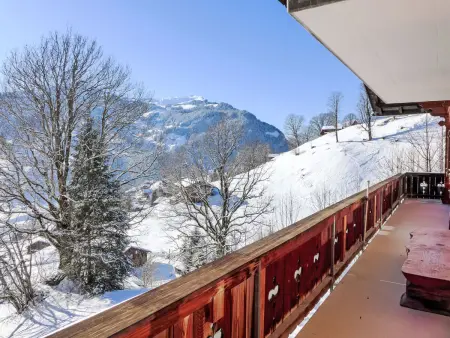 Chalet uf Duft, Appartement 6 personnes à Grindelwald - Photo 26