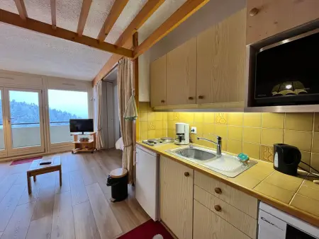 Spacieux Studio Rénové 39m² avec Balcon, Garage - Villard-de-Lans - Photo 4