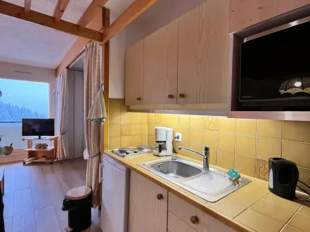 Spacieux Studio Rénové 39m² avec Balcon, Garage - Villard-de-Lans - Photo 5