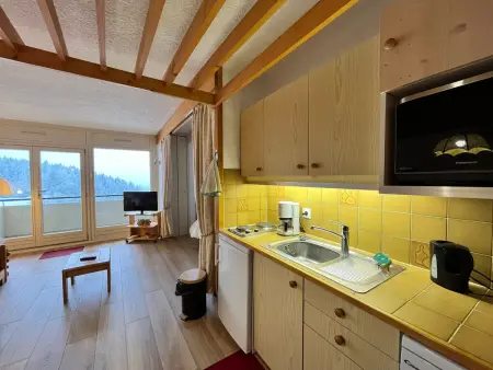 Spacieux Studio Rénové 39m² avec Balcon, Garage - Villard-de-Lans - Photo 6