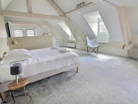 Maison de caractère avec jacuzzi et parking à deux pas du centre historique de Colmar - Photo 8