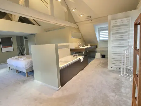 Maison de caractère avec jacuzzi et parking à deux pas du centre historique de Colmar - Photo 11