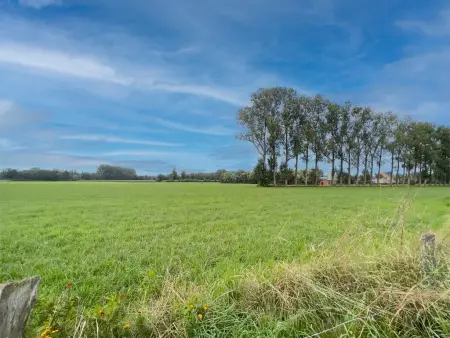 Lindehoeve, Belle ferme pour groupes avec piscine intérieure - Photo 38