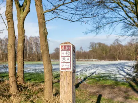 Lindehoeve, Belle ferme pour groupes avec piscine intérieure - Photo 73