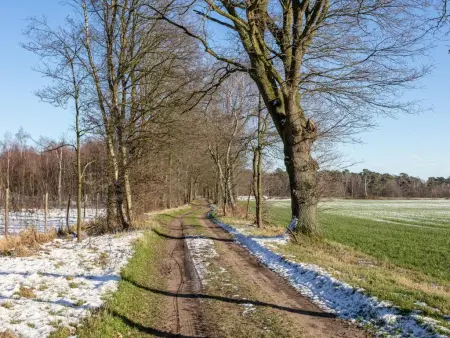 Lindehoeve, Belle ferme pour groupes avec piscine intérieure - Photo 74