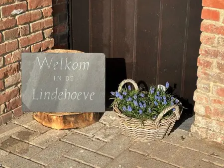 Lindehoeve, Belle ferme pour groupes avec piscine intérieure - Photo 78