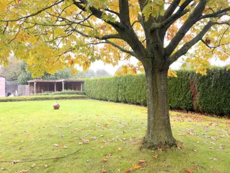 Zingem, Belle maison de campagne dans les Ardennes - Photo 33