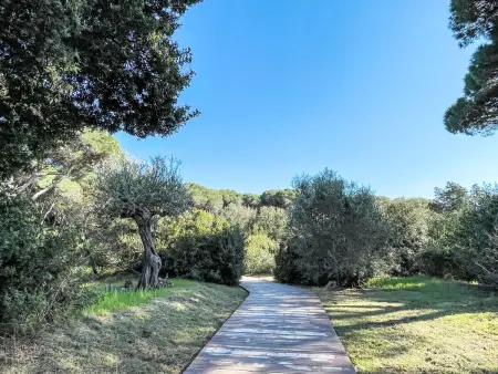 Bungalow Charme, Maison 3 personnes à Castiglione della Pescaia - Photo 27