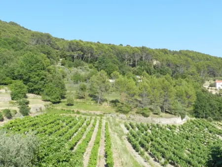 Les Grenaches, Maison 8 personnes à Draguignan - Photo 38
