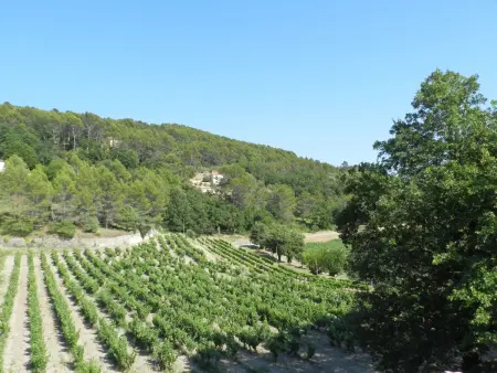 Saint-Michel, Maison 9 personnes à Draguignan - Photo 33