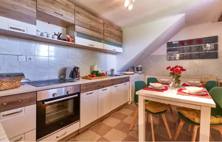 Maison 16 personnes à Budrovac - Photo 5