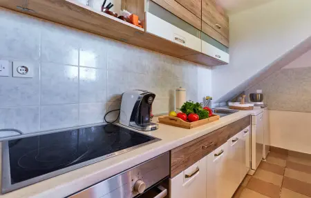 Maison 16 personnes à Budrovac - Photo 23