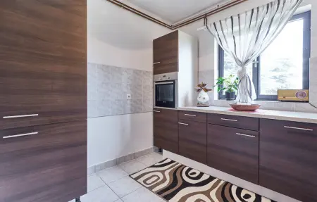 Maison 16 personnes à Budrovac - Photo 24