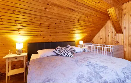 Maison 16 personnes à Budrovac - Photo 33