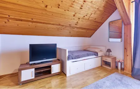 Maison 16 personnes à Budrovac - Photo 34