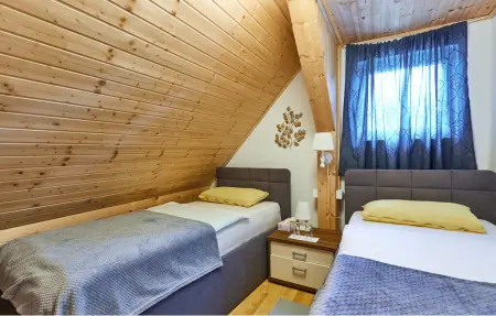 Maison 16 personnes à Budrovac - Photo 37