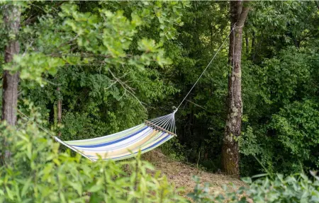 Villa Forest Fairy, Maison 6 personnes à Pazin - Photo 20