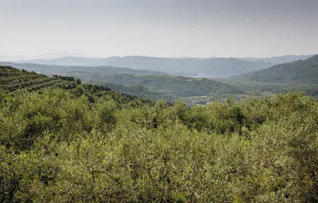 Horizon 241, Maison 4 personnes à Buzet - Photo 19