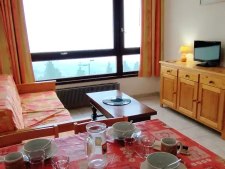 2 Pièces au pied des pistes - Animaux admis, Appartement 5 personnes à Les Adrets Prapoutel - Photo 11