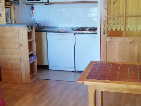Appartement aux Adrets-Prapoutel, 2 pièces, balcon, proche pistes et commerces - Photo 7