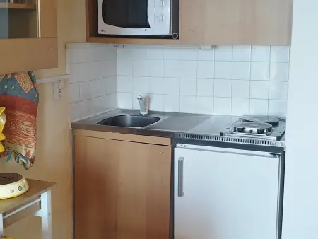 Studio rénové au pied des pistes avec balcon, Appartement 3 personnes à Les Adrets Prapoutel - Photo 4