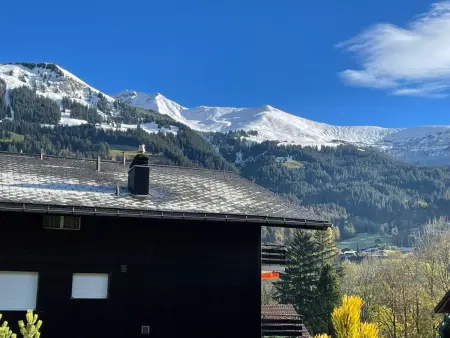 Ferienwohnung Waldrand EG, Appartement 4 personnes à Lenk - Photo 7