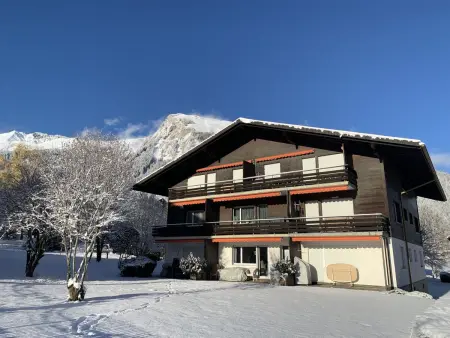 Ferienwohnung Waldrand EG, Appartement 4 personnes à Lenk - Photo 9