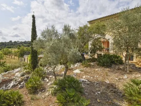 Pla De Ses Rotes, Maison 10 personnes à Campanet - Photo 25