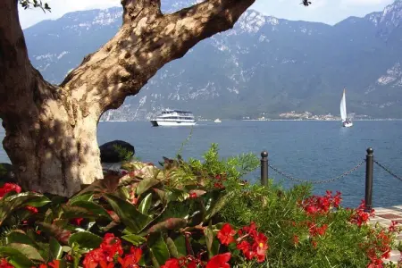 Residence Oasi, Limone sul Garda-bilo, Appartement à Limone avec balcon ou terrasse - Photo 22