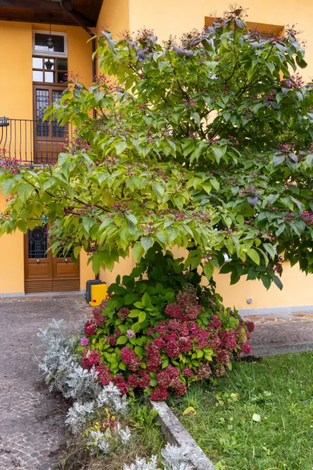La Corleta di Sot, Appartement 4 personnes à Ovaro - Photo 20