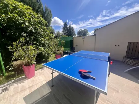 Maison familiale au bord du lac avec piscine, véranda climatisée et jardin fleuri - Photo 31
