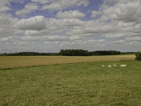 Maison de Campagne spacieuse avec cheminée, 4 chambres, animaux admis - Photo 11