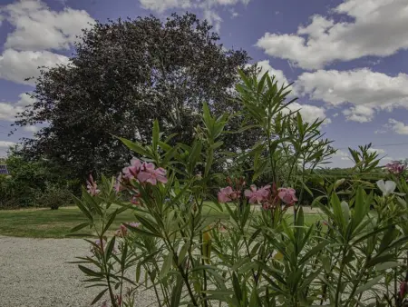 Maison de Campagne spacieuse avec cheminée, 4 chambres, animaux admis - Photo 28
