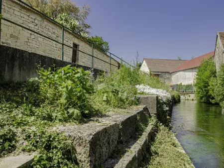 Maison charmante à Gyé-sur-Seine avec jardin et barbecue - Photo 27