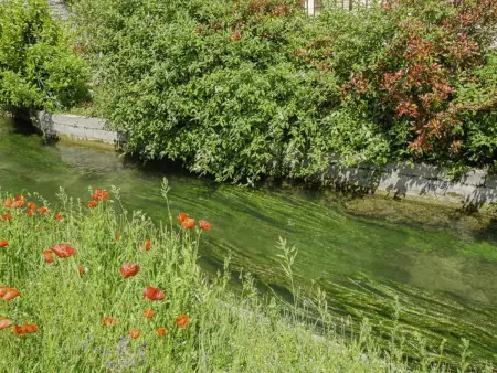 Maison charmante à Gyé-sur-Seine avec jardin et barbecue - Photo 31