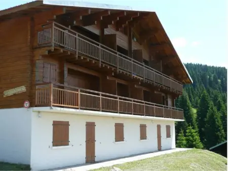 Appartement cosy 2 pièces proche piste bleue, Les Saisies - Photo 7