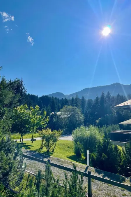 Ferienwohnung Selina, Appartement 7 personnes à Lenzerheide - Photo 27